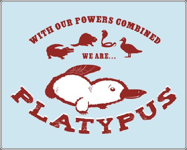 we-are-platypus.jpg