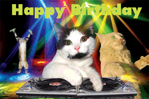 funny-cat-party-happy-birthday-gif.gif