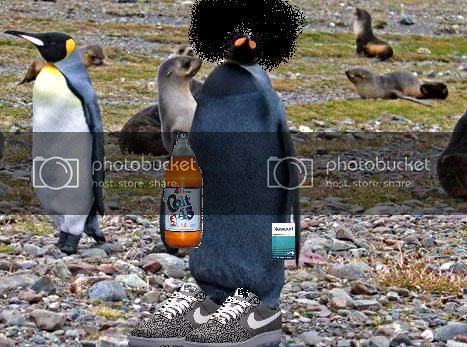 all-black-penguin-1.jpg