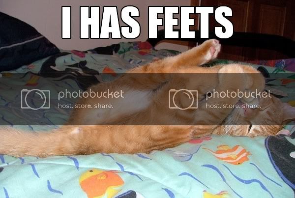 feets.jpg