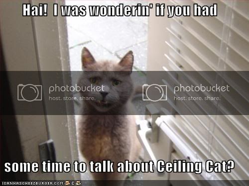 funny-pictures-cat-door-talk-ceilin.jpg