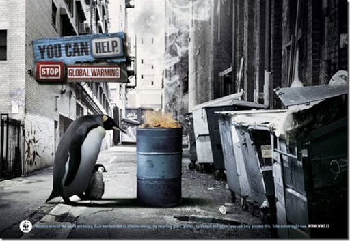 WWF-Ads-Homeless-Penguin.jpg