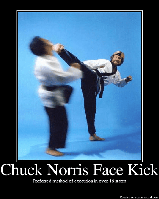 ChuckNorrisFaceKick.png