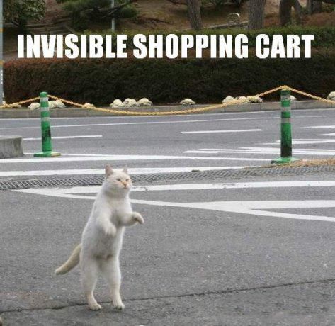 invisible%20cart.jpg