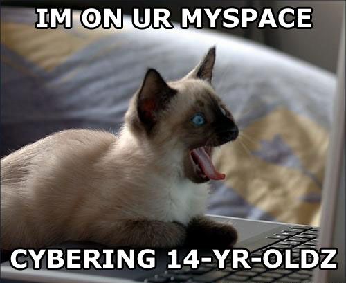 1164814158-myspacecat.b.jpg