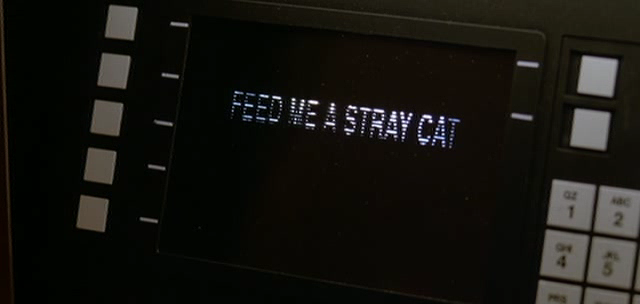 feed-me-stray-cat.png