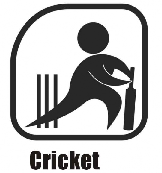 cricket-logo.jpg