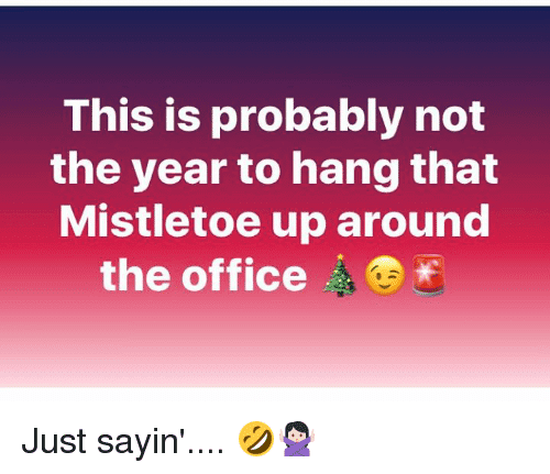 this-is-probably-not-the-year-to-hang-that-mistletoe-29377875.png