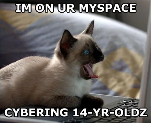 1164814158-myspacecat.b.webp