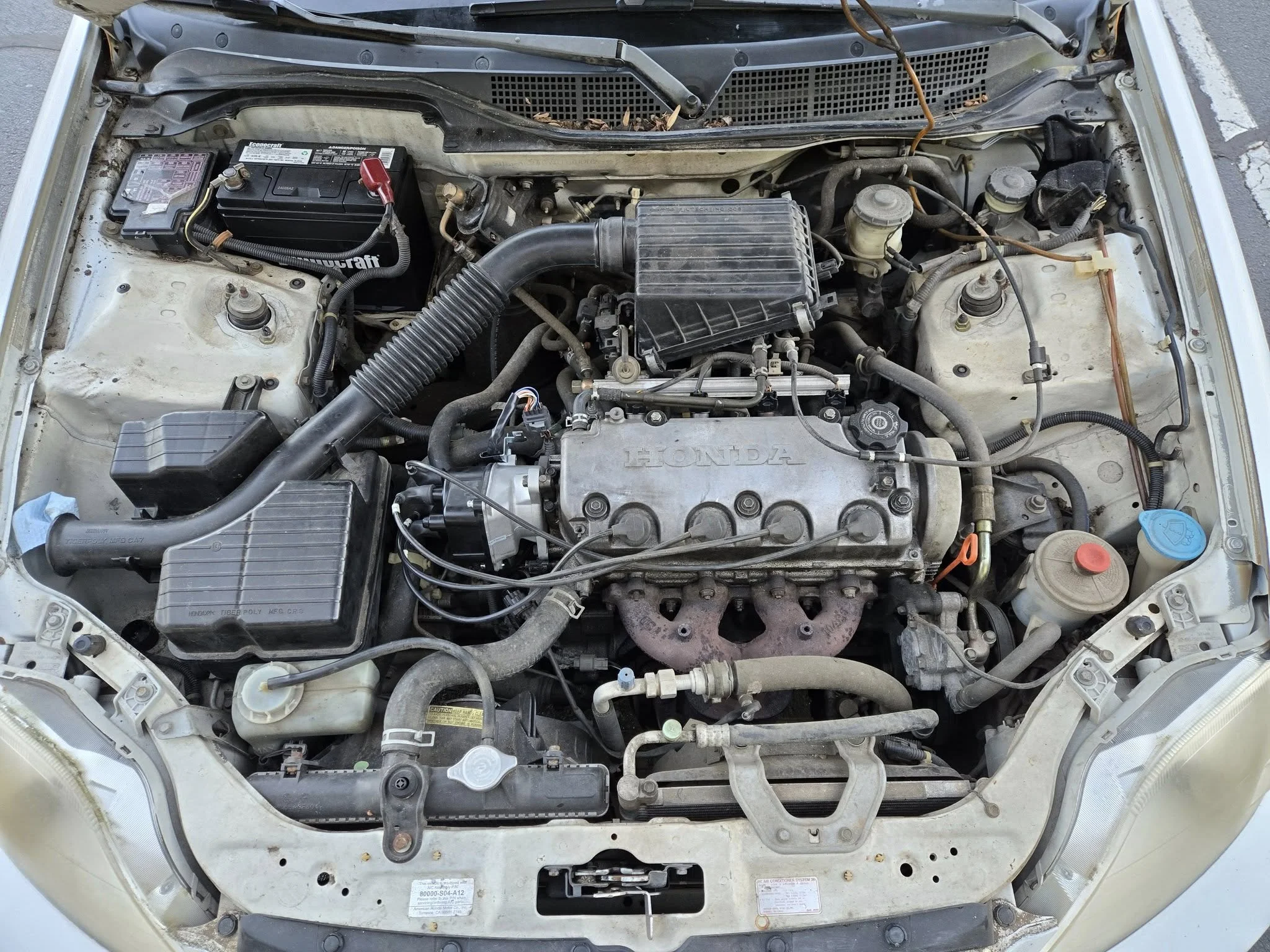 474645905_10170714212345076_1855341991388698808_n.webp