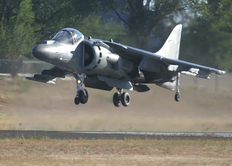 Harrier.webp
