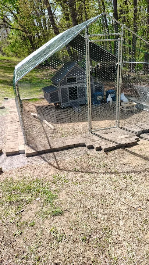 IMG_20250501_151228618_HDR.webp