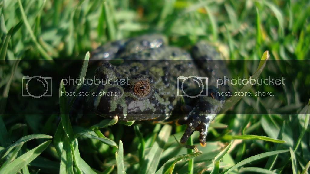 DSC01323.jpg