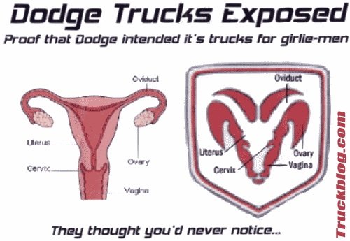 2007_08_05_dodgeuterus.jpg