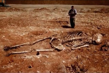 giant1-460x307.jpg