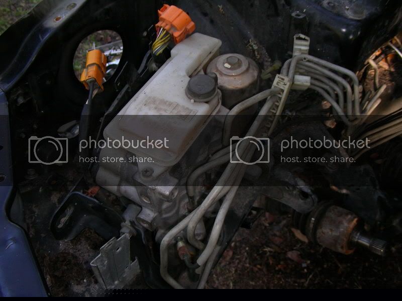 DSCN4688.jpg