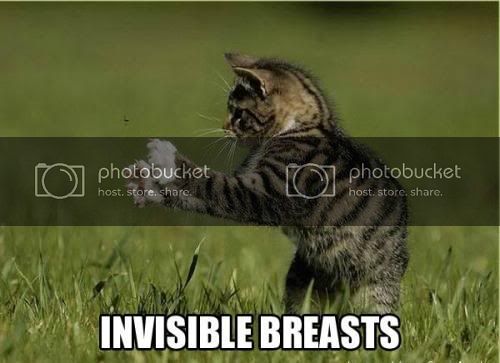 invisiblebreasts1.jpg