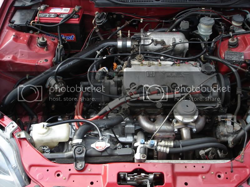 Picture130.jpg
