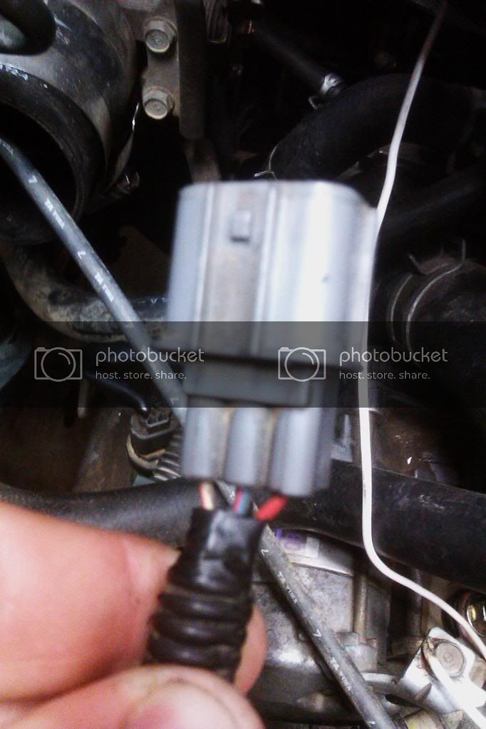 wire.jpg