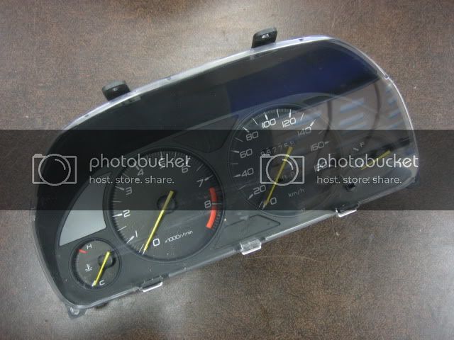 IMG_9872.jpg