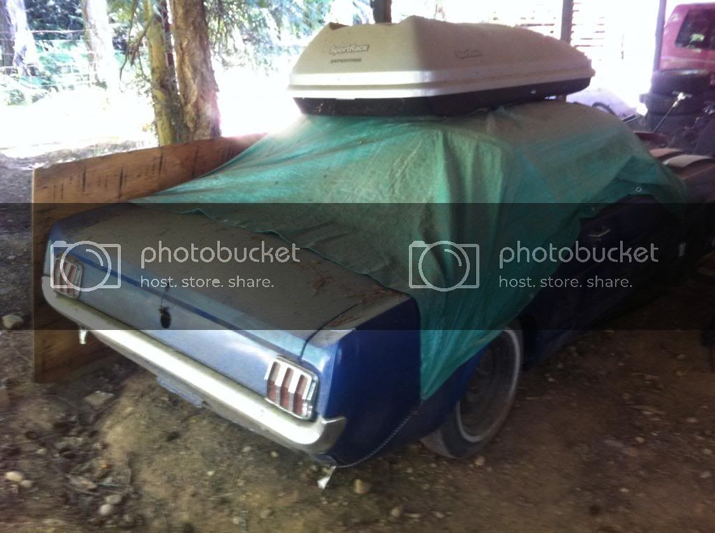 rustang_zps856bbd44.jpg