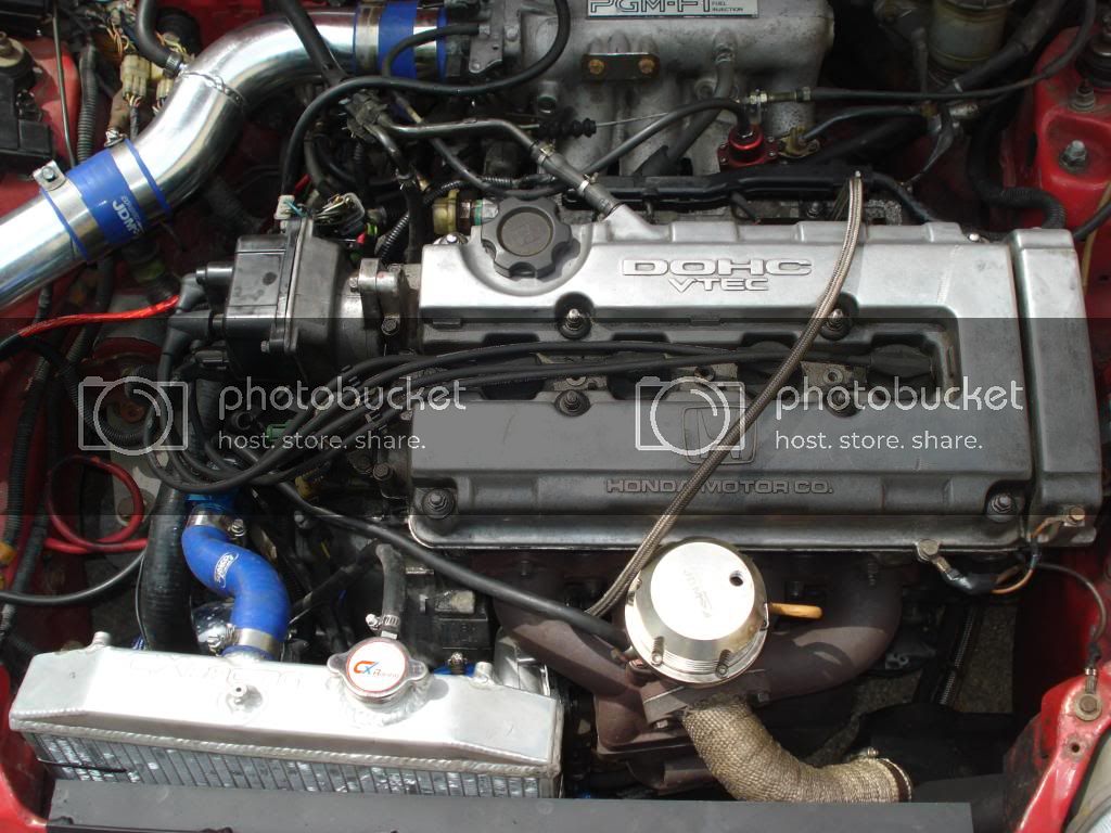 Picture007.jpg