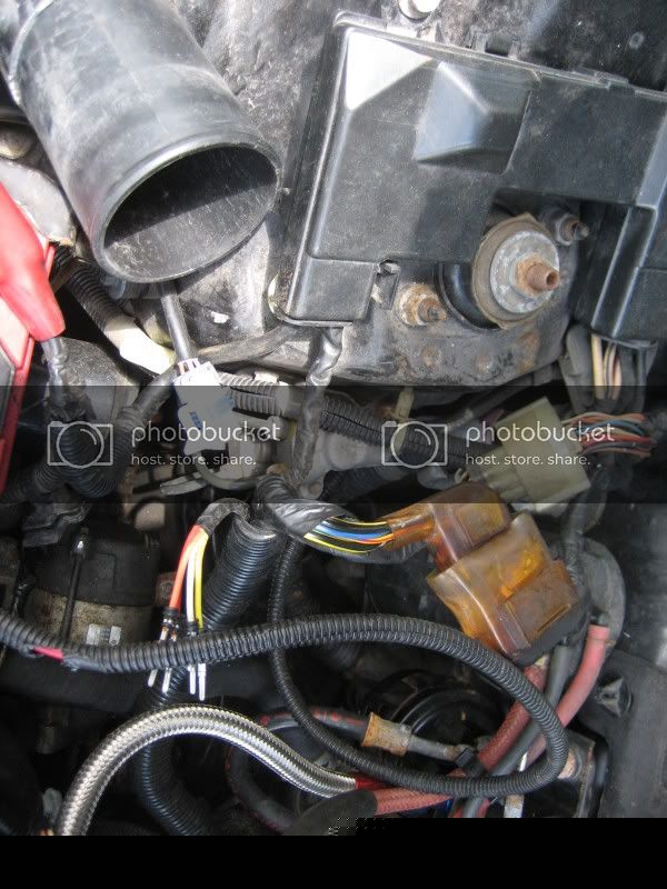 crx240.jpg