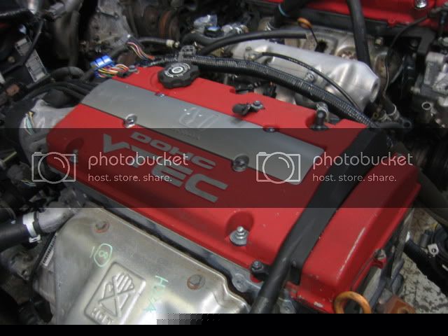 IMG_9575.jpg