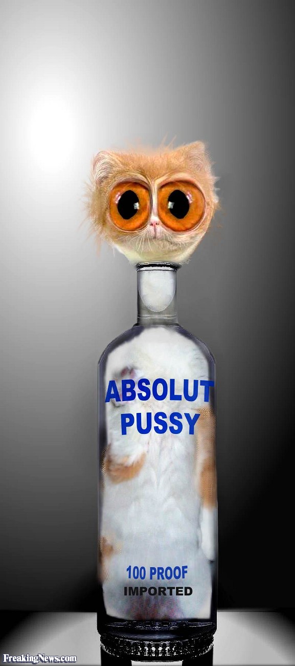 Absolut-Pussy-34870.jpg