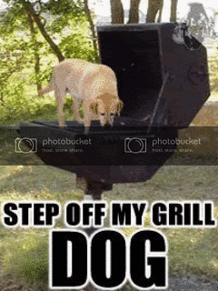 GrillDog.gif