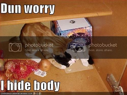 hidethebody.jpg