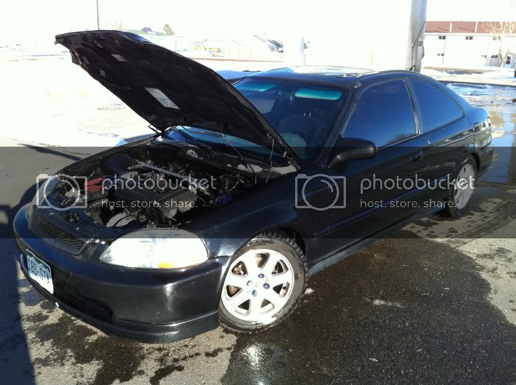 CopyofIMG_0711.jpg