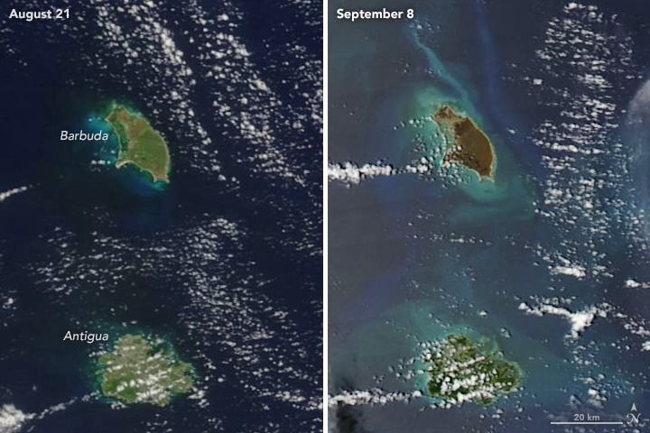 barbuda_amo_2017251.jpg