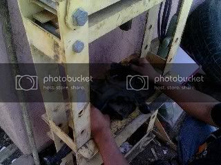 IMG001561.jpg