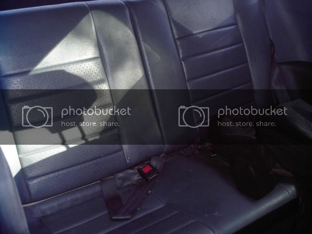 backseat.jpg
