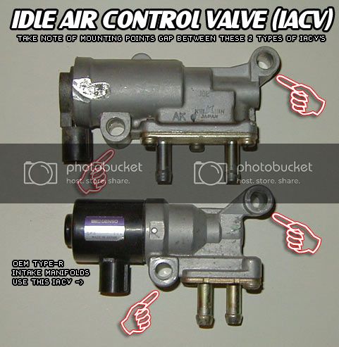 iacv.jpg