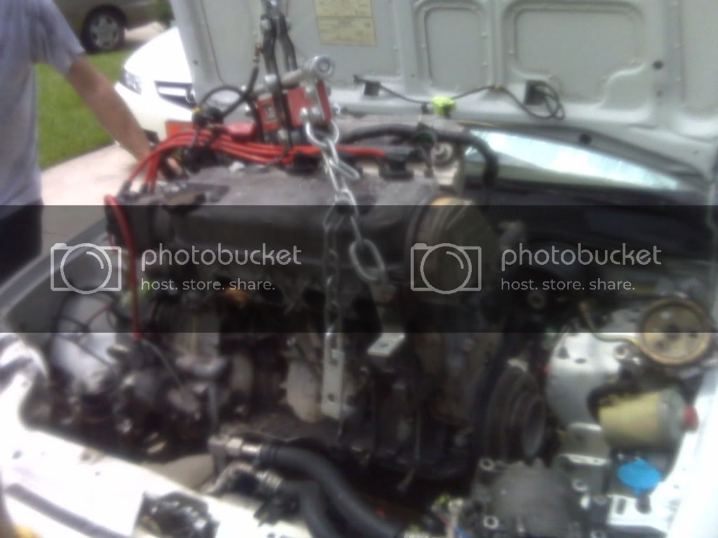 IMG00029.jpg