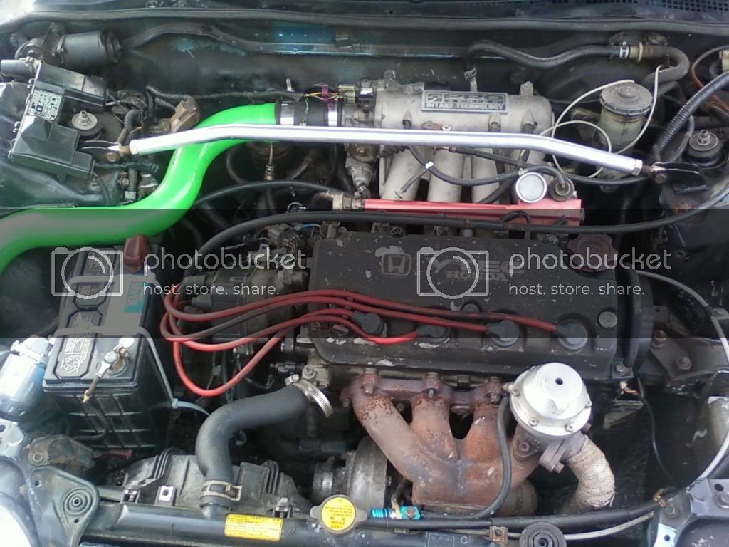 img1265094693882.jpg