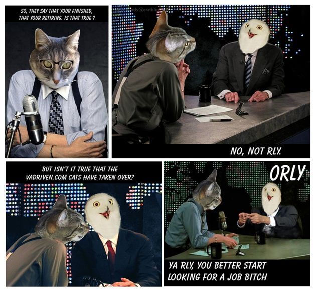 1181592539-kittehsUntitled67.b.jpg