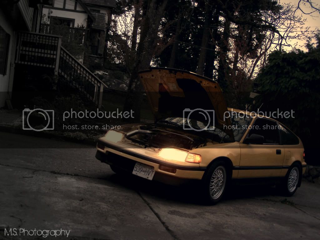 DSCF5779.jpg