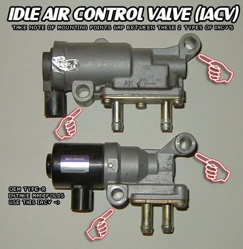 iacv.jpg