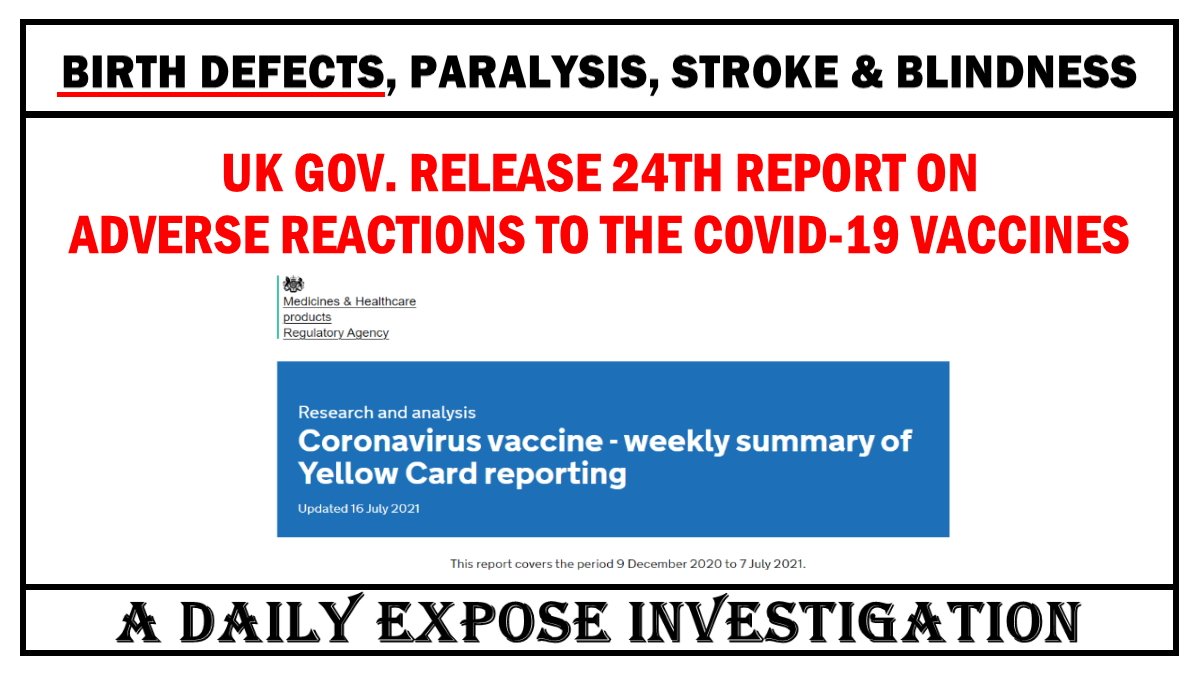 dailyexpose.co.uk