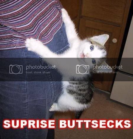 surprise-buttsecks.jpg