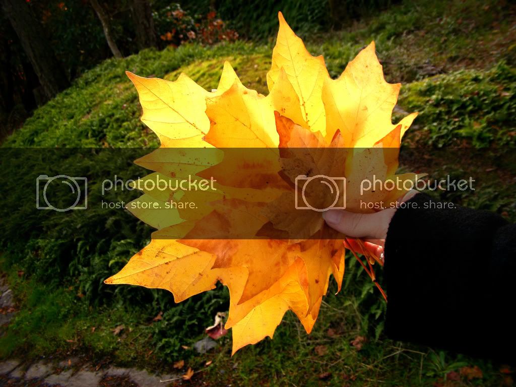 DSCF4570.jpg