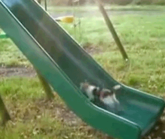 FvtQv.gif