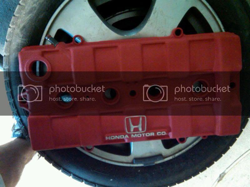 IMG00137-20100531-1321.jpg