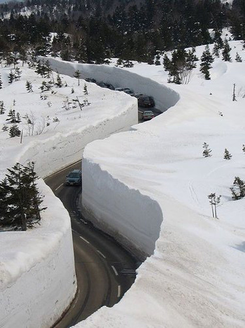 500x_snow.jpg