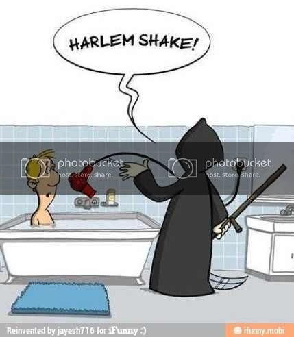 HarlemShake_zpsace7fbf7.jpg