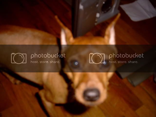 Picture006.jpg