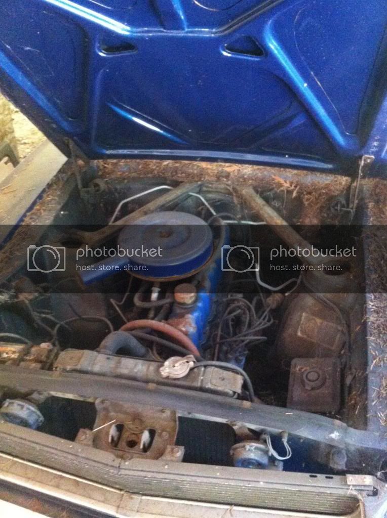 rustang5_zpsc2c08a68.jpg